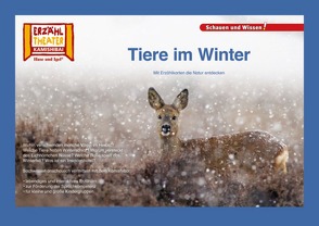 Tiere im Winter / Kamishibai Bildkarten von Sangu,  Verena