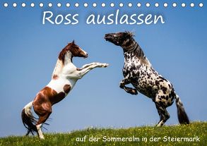 Kampf der Hengste – Ross auslassen auf der SommeralmAT-Version (Tischkalender 2018 DIN A5 quer) von Reisenhofer,  Richard