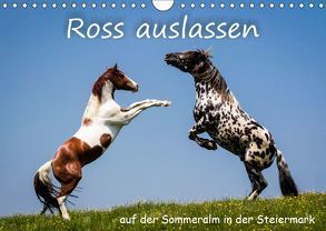 Kampf der Hengste – Ross auslassen auf der SommeralmAT-Version (Wandkalender 2019 DIN A4 quer) von Reisenhofer,  Richard