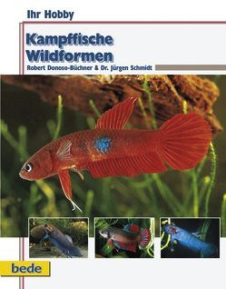 Kampffische – Wildformen von Donoso-Büchner,  Robert, Schmidt,  Jürgen