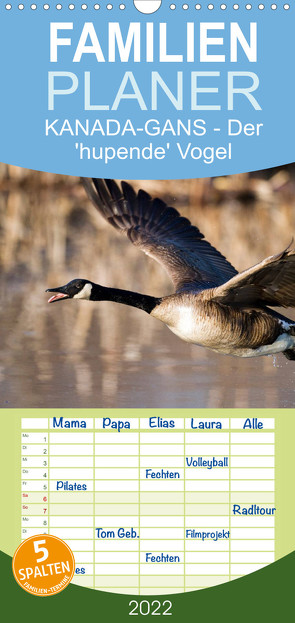 KANADA-GANS – Der ‚hupende‘ Vogel – Familienplaner hoch (Wandkalender 2022 , 21 cm x 45 cm, hoch) von Henry,  Philippe