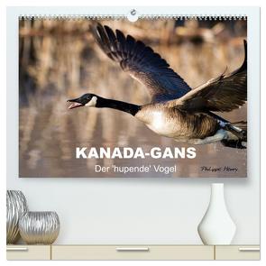 KANADA-GANS – Der ‚hupende‘ Vogel (hochwertiger Premium Wandkalender 2024 DIN A2 quer), Kunstdruck in Hochglanz von Henry,  Philippe