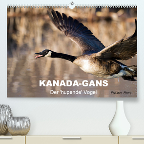 KANADA-GANS – Der ‚hupende‘ Vogel (Premium, hochwertiger DIN A2 Wandkalender 2021, Kunstdruck in Hochglanz) von Henry,  Philippe