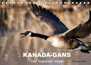 KANADA-GANS – Der ‚hupende‘ Vogel (Tischkalender 2022 DIN A5 quer) von Henry,  Philippe