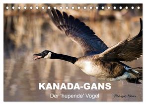 KANADA-GANS – Der ‚hupende‘ Vogel (Tischkalender 2024 DIN A5 quer), CALVENDO Monatskalender von Henry,  Philippe