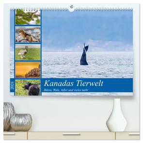 Kanadas Tierwelt – Bären, Wale und vieles mehr (hochwertiger Premium Wandkalender 2024 DIN A2 quer), Kunstdruck in Hochglanz von ellenlichtenheldt,  ellenlichtenheldt