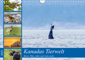 Kanadas Tierwelt – Bären, Wale und vieles mehr (Wandkalender 2023 DIN A4 quer) von ellenlichtenheldt