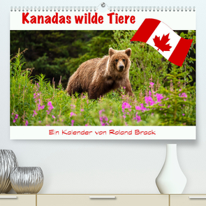 Kanadas Wilde Tiere (Premium, hochwertiger DIN A2 Wandkalender 2023, Kunstdruck in Hochglanz) von Brack,  Roland