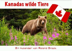 Kanadas Wilde Tiere (Wandkalender 2022 DIN A2 quer) von Brack,  Roland