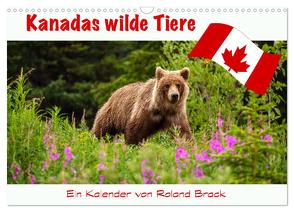 Kanadas Wilde Tiere (Wandkalender 2024 DIN A3 quer), CALVENDO Monatskalender von Brack,  Roland