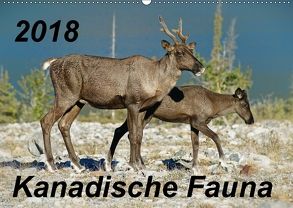 Kanadische Fauna 2018 (Wandkalender 2018 DIN A2 quer) von Schug,  Stefan