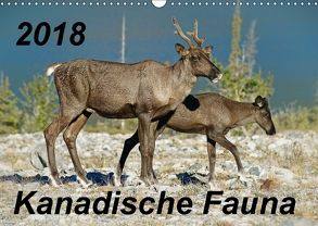 Kanadische Fauna 2018 (Wandkalender 2018 DIN A3 quer) von Schug,  Stefan