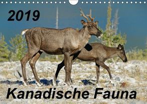 Kanadische Fauna 2019 (Wandkalender 2019 DIN A4 quer) von Schug,  Stefan