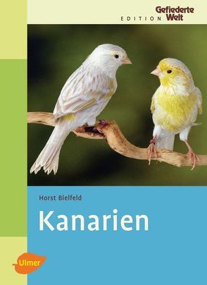 Kanarien von Bielfeld,  Horst