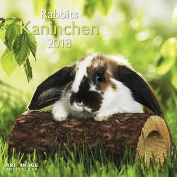 Kaninchen 2018