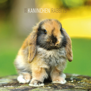 Kaninchen 2020 – Rabbits – Wandkalender – Broschürenkalender (30 x 60 geöffnet) – Tierkalender – Wandplaner von ALPHA EDITION