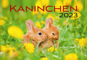 Kaninchen 2023