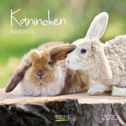 Kaninchen 2023 von Korsch Verlag