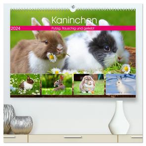 Kaninchen. Putzig, flauschig und geliebt (hochwertiger Premium Wandkalender 2024 DIN A2 quer), Kunstdruck in Hochglanz von Hurley,  Rose