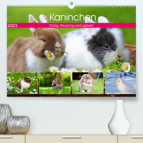 Kaninchen. Putzig, flauschig und geliebt (Premium, hochwertiger DIN A2 Wandkalender 2023, Kunstdruck in Hochglanz) von Hurley,  Rose