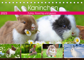 Kaninchen. Putzig, flauschig und geliebt (Tischkalender 2023 DIN A5 quer) von Hurley,  Rose