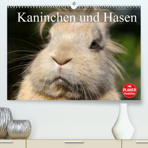 Kaninchen und Hasen (Premium, hochwertiger DIN A2 Wandkalender 2022, Kunstdruck in Hochglanz) von Stanzer,  Elisabeth