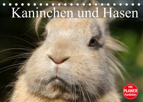 Kaninchen und Hasen (Tischkalender 2022 DIN A5 quer) von Stanzer,  Elisabeth