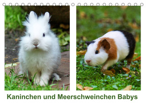 Kaninchen und Meerschweinchen Babys (Tischkalender 2023 DIN A5 quer) von kattobello