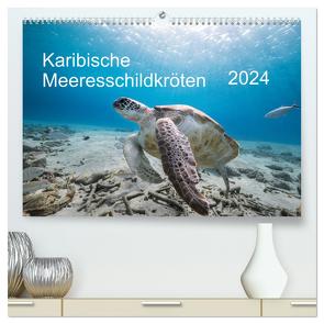 Karibische Meeresschildkröten (hochwertiger Premium Wandkalender 2024 DIN A2 quer), Kunstdruck in Hochglanz von & Tilo Kühnast- naturepics,  Yvonne