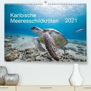 Karibische Meeresschildkröten (Premium, hochwertiger DIN A2 Wandkalender 2021, Kunstdruck in Hochglanz) von & Tilo Kühnast- naturepics,  Yvonne