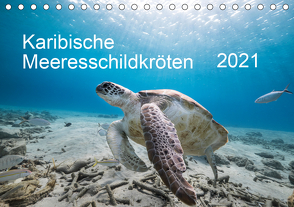 Karibische Meeresschildkröten (Tischkalender 2021 DIN A5 quer) von & Tilo Kühnast- naturepics,  Yvonne