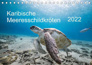 Karibische Meeresschildkröten (Tischkalender 2022 DIN A5 quer) von & Tilo Kühnast- naturepics,  Yvonne