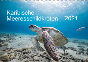 Karibische Meeresschildkröten (Wandkalender 2021 DIN A2 quer) von & Tilo Kühnast- naturepics,  Yvonne