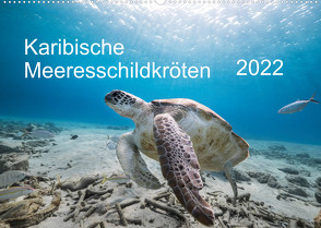 Karibische Meeresschildkröten (Wandkalender 2022 DIN A2 quer) von & Tilo Kühnast- naturepics,  Yvonne