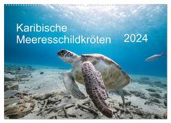 Karibische Meeresschildkröten (Wandkalender 2024 DIN A2 quer), CALVENDO Monatskalender von & Tilo Kühnast- naturepics,  Yvonne