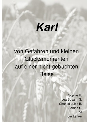 Karl – von Gefahren und kleinen Glücksmomenten auf einer nicht gebuchten Reise von Jugendpsychiatrie,  Sophie,  Lea und Chantal