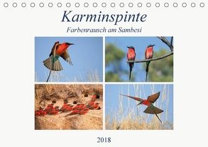 Karminspinte – Farbenrausch am Sambesi (Tischkalender 2018 DIN A5 quer) von Herzog,  Michael