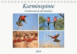 Karminspinte – Farbenrausch am Sambesi (Tischkalender 2019 DIN A5 quer) von Herzog,  Michael