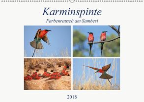 Karminspinte – Farbenrausch am Sambesi (Wandkalender 2018 DIN A2 quer) von Herzog,  Michael