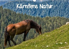 Kärntens Natur (Posterbuch DIN A3 quer) von Wunderlich,  Simone