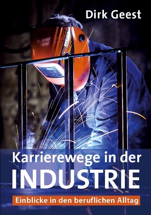 Karrierewege in der Industrie von Geest,  Dirk