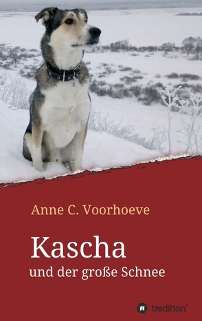 Kascha und der große Schnee von Voorhoeve,  Anne C.