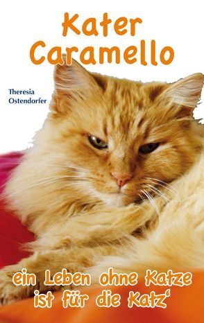 Kater Caramello von Ostendorfer,  Theresia