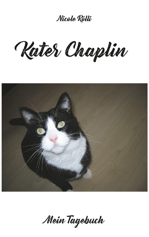 Kater Chaplin von Rölli,  Nicole