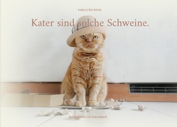 Kater sind solche Schweine. von Renitente,  Isabella