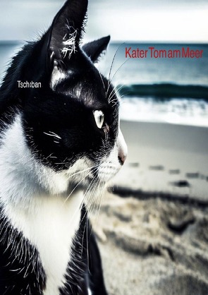 Kater Tom / Kater Tom am Meer von Aegerter,  Michel