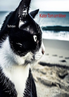 Kater Tom / Kater Tom am Meer von Tsch0ban,  Michi