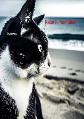 Kater Tom / Kater Tom am Meer von Tsch0ban,  Michi