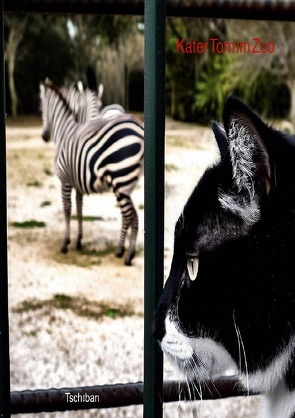 Kater Tom / Kater Tom im Zoo von Tsch0ban,  Michi