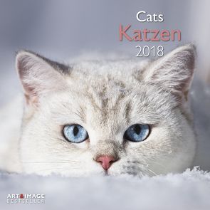 Katzen 2018